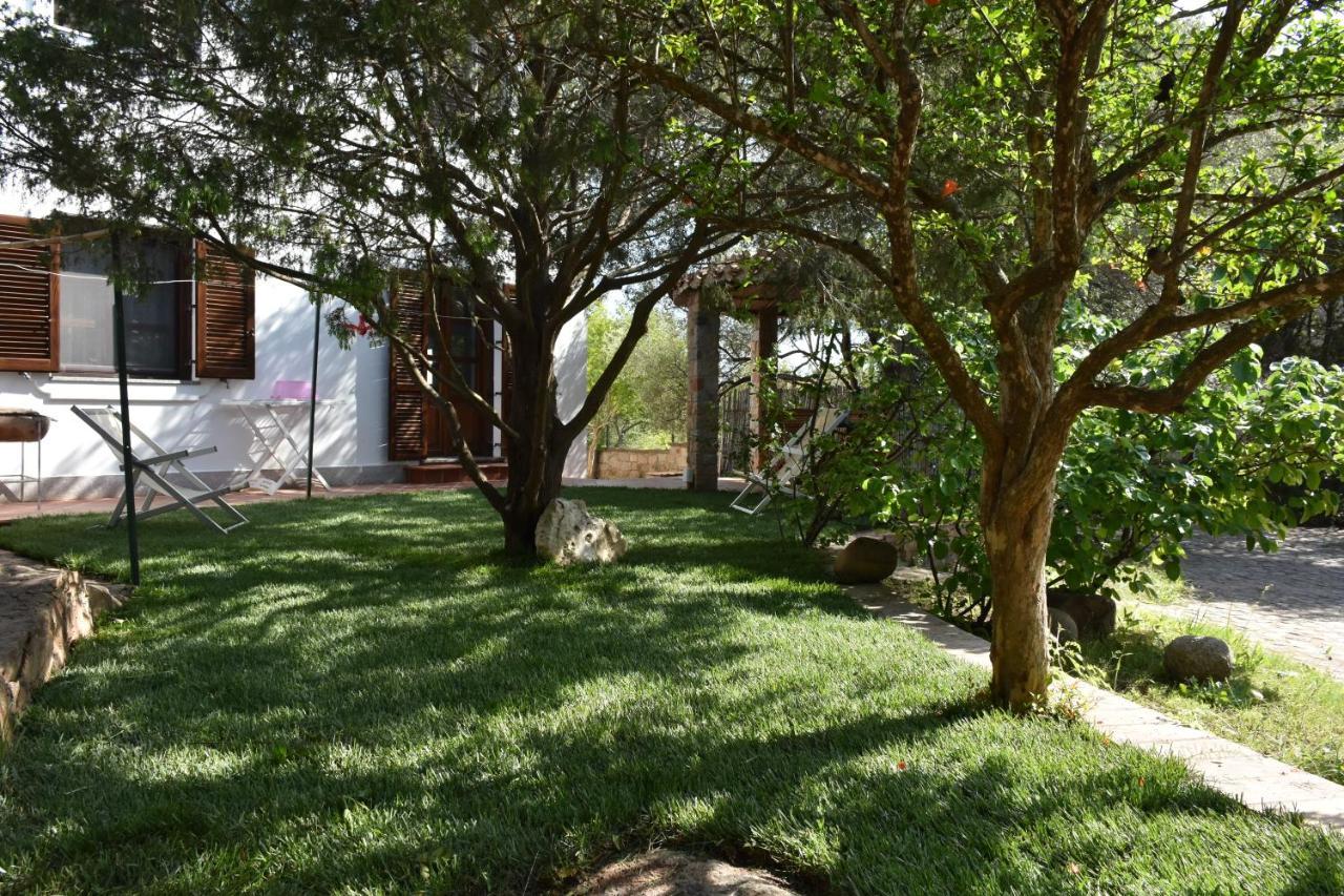 Villa Juniper 산타마리아나바레제 외부 사진